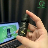 Dầu Tràm Trà Organix - 10ML