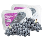 Nho rượu Campbell Early hộp 350g - Hàn Quốc