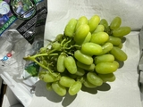 Nho Xanh KH Mỹ