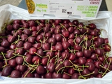 Cherry Mỹ Size 9