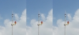 Đèn Báo không TG-R04