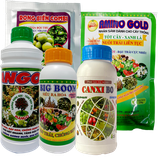 Dưỡng hoa - Đậu trái