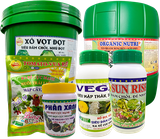 Nhú đọt - Ra rễ