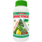 AMINO POWER
