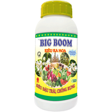 BIG BOOM