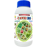 CHAI CHẮC TRÁI CANXI BO