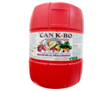 CAN K-BO