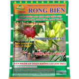 RONG BIỂN (THANH LONG)