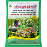 SIÊU ĐẠM CÁ NGỪ