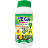 CHAI SIÊU MẬP THÂN VEGA