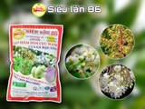 SIÊU LÂN 86