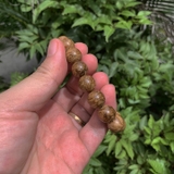 Vòng trầm hương VT179