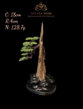 Trầm cảnh để bàn