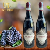 RƯỢU VANG Ý AMARRONE RISEVA SPADA 17 độ
