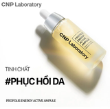Serum Tinh Chất Keo Ong Hỗ Trợ Phục Hồi Da CNP Propolis Energy Active Ampule 15ml