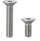 BU LÔNG LỤC GIÁC CHÌM ĐẦU BẰNG