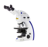 KÍNH HIỂN VI SOI THẲNG