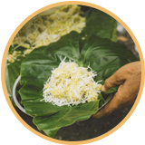 Chế biến từ cốm