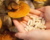 Tác dụng và cách sử dụng nấm linh chi hiệu quả trong chăm sóc sức khỏe