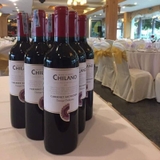 Rượu vang Chilano Gran Reserva Carbernet Sauvignon 2020
