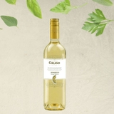 Rượu vang Chile Chilano Sauvignon Blanc