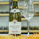 Rượu vang Pháp Moillard Bourgogne Chardonnay