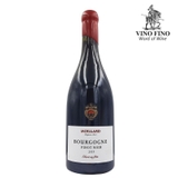 Rượu vang Pháp Moillard Bourgogne Pinot Noir (elevé en futs)