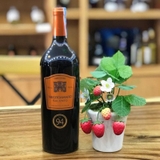 Rượu vang Ý Torridoro Negroamaro