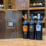Rượu vang Ý Torridoro Negroamaro