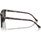 KÍNH MÁT RAYBAN RB2210F