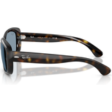 KÍNH MÁT RAYBAN RB4101