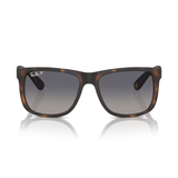 KÍNH MÁT RAYBAN RB4165F