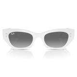 KÍNH MÁT RAYBAN RB4430F