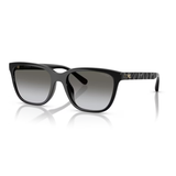 COACH 0HC8429D