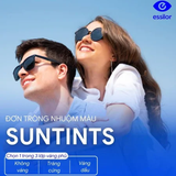 TRÒNG KÍNH ESSILOR NHUỘM MÀU SUNTINTS