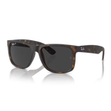 KÍNH MÁT RAYBAN RB4165F