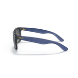 KÍNH MÁT RAYBAN 0RB4165