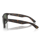 KÍNH MÁT RAYBAN ORB4165F