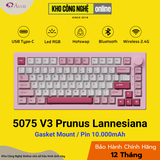 Bàn phím cơ AKKO 5075 V3 Prunus Lannesiana