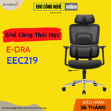 Ghế công thái học E-DRA EEC219