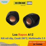Loa Rapoo A12