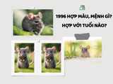 1996 hợp màu gì, mệnh gì? Hợp với tuổi nào?