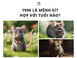 1996 là mệnh gì? Hợp với tuổi nào?