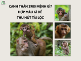 Canh Thân 1980 mệnh gì? Hợp màu gì để thu hút tài lộc