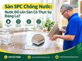 Sàn SPC Chống Nước: Nước Đổ Lên Sàn Có Thực Sự Đáng Lo?