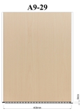 A9-29