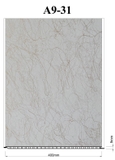 A9-31