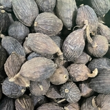 Thảo Quả Tây Bắc 1KG