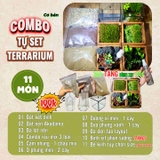 Combo terrarium, combo tự làm terrarium, combo setup terrarium 11 món