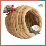 Tổ rơm cho chim , ốc mượn hồn làm nhà ngủ